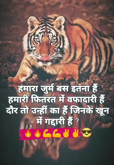 Instagram Attitude Shayari
