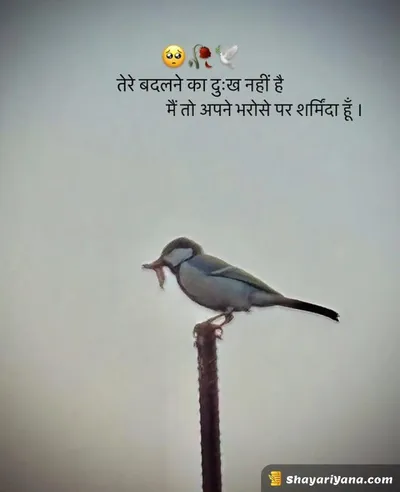 New Sad Shayari
