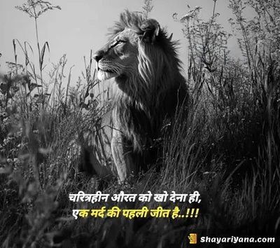 Boy Attitude, Badmashi Shayari