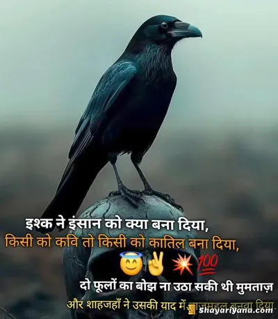 Life, Love Sad Shayari