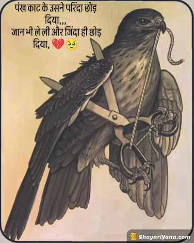 Emotional Sad Shayari