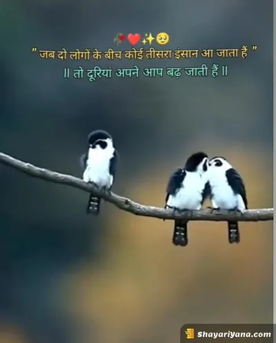 Broken Heart Shayari