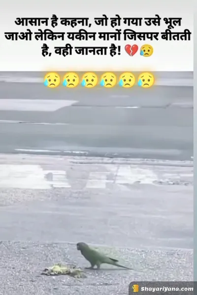 Broken Heart Shayari