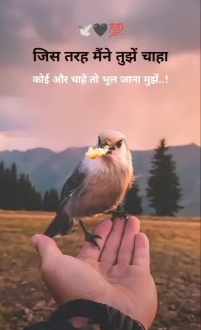 Broken Heart Shayari