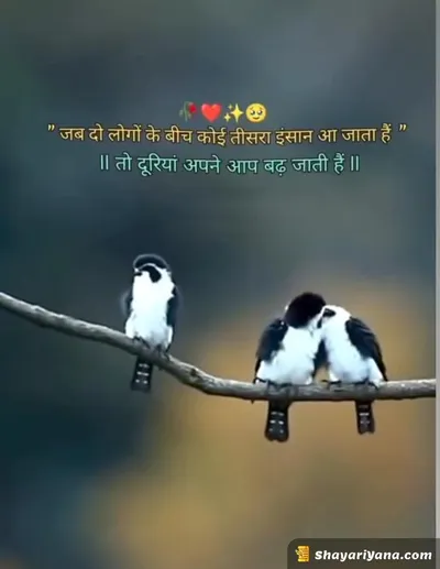 Sadest Shayari