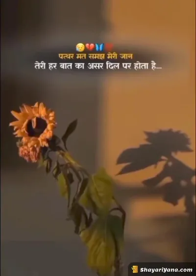 Sadest Shayari