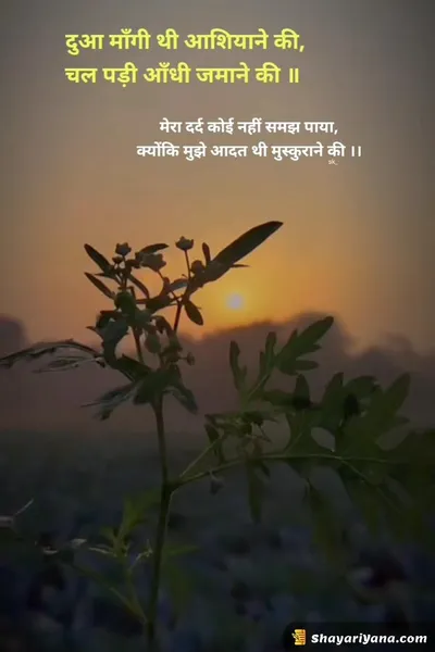 Life, Love Sad Shayari