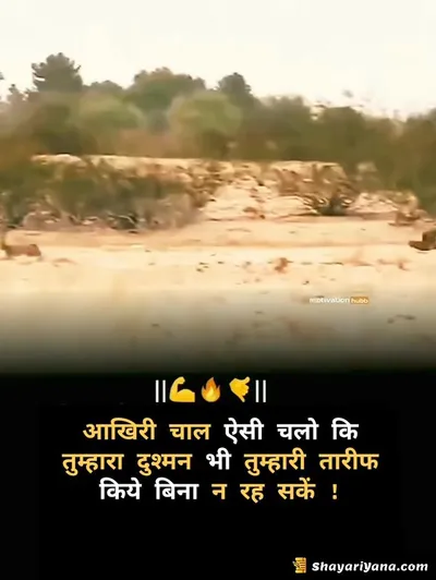 Boy Attitude, Badmashi Shayari