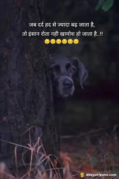 Break up Shayari