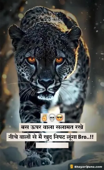 Boy Attitude, Badmashi Shayari
