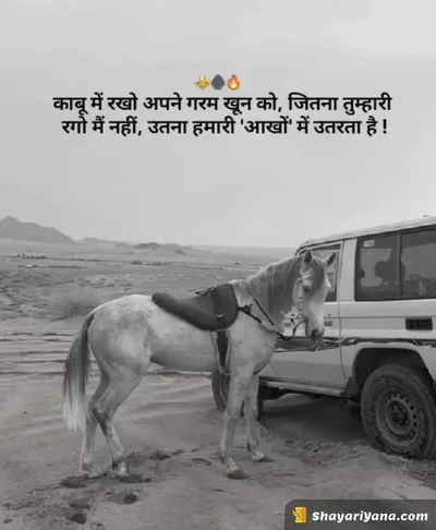 Boy Attitude, Badmashi Shayari