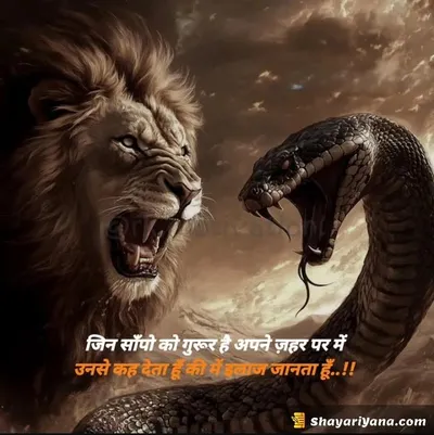 Boy Attitude, Badmashi Shayari