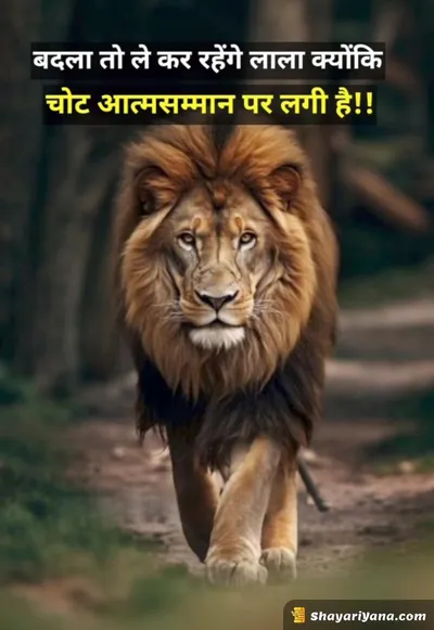 Latest Attitude Status Shayari