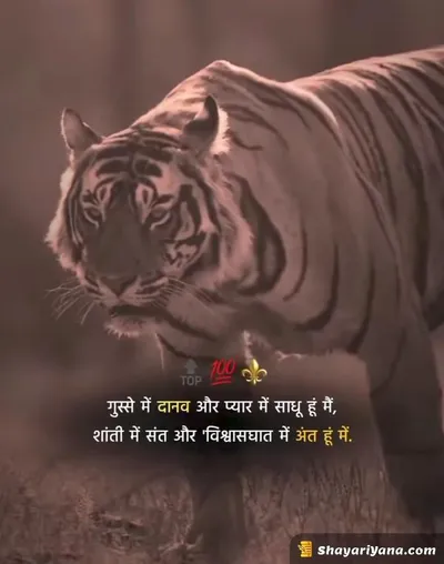 Boy Attitude, Badmashi Shayari