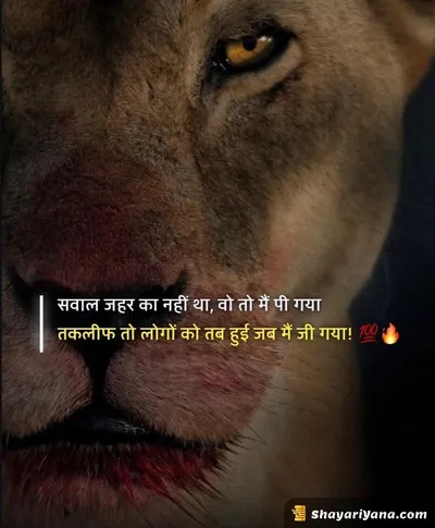 Stylish Attitude Shayari