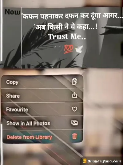 Boy Attitude, Badmashi Shayari