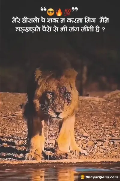 Boy Attitude, Badmashi Shayari