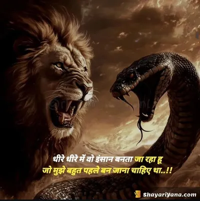 Boy Attitude, Badmashi Shayari